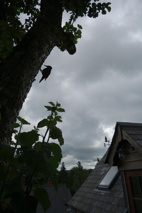 The Roost Lejlighed Semley Eksteriør billede